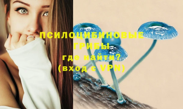 тгк Балабаново